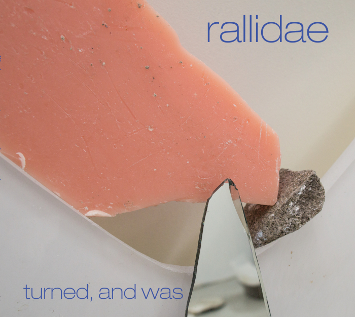 Review: Angela Morris’ Rallidae – Turned, And Was