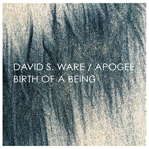 Birth Of A Being By David S. Ware’s Apogee